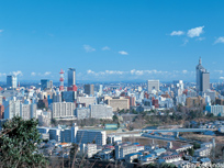 仙台市全景